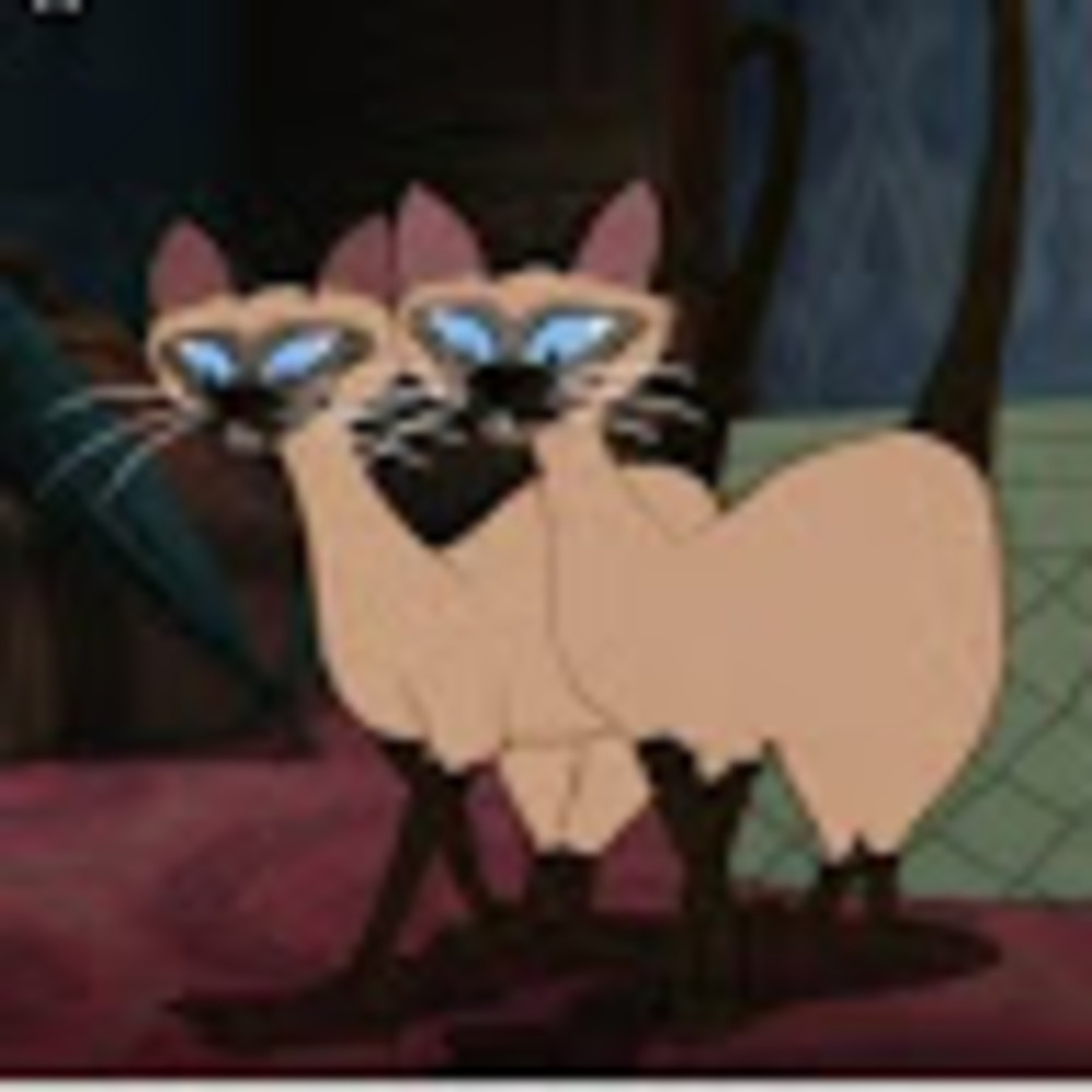 Meet your Posher, Angelica